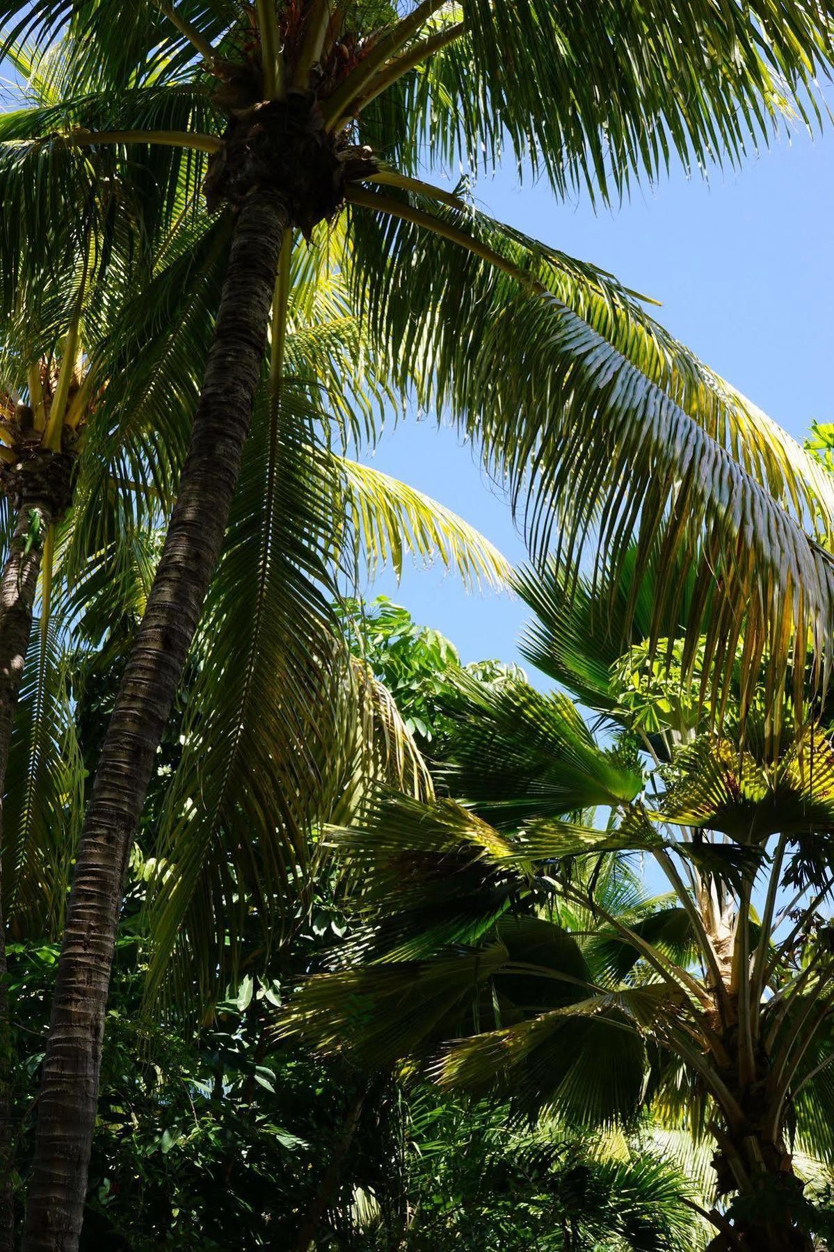 The Banyan Resort Key West Exterior photo